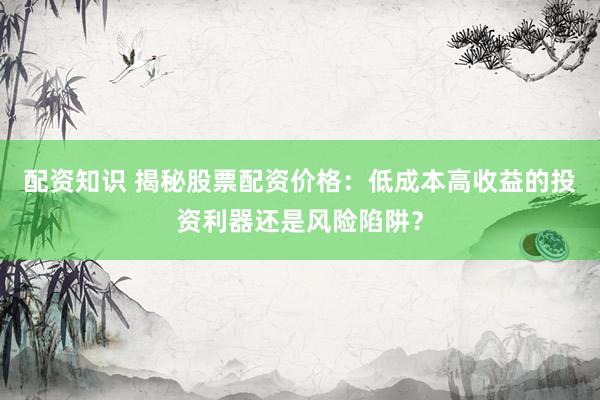 配资知识 揭秘股票配资价格：低成本高收益的投资利器还是风险陷阱？