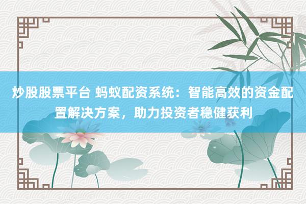 炒股股票平台 蚂蚁配资系统：智能高效的资金配置解决方案，助力投资者稳健获利