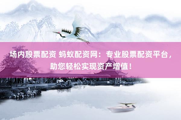 场内股票配资 蚂蚁配资网：专业股票配资平台，助您轻松实现资产增值！