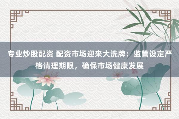 专业炒股配资 配资市场迎来大洗牌：监管设定严格清理期限，确保市场健康发展
