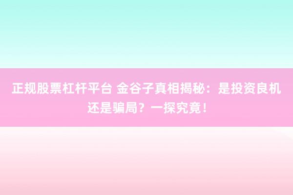 正规股票杠杆平台 金谷子真相揭秘：是投资良机还是骗局？一探究竟！