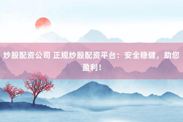 炒股配资公司 正规炒股配资平台：安全稳健，助您盈利！
