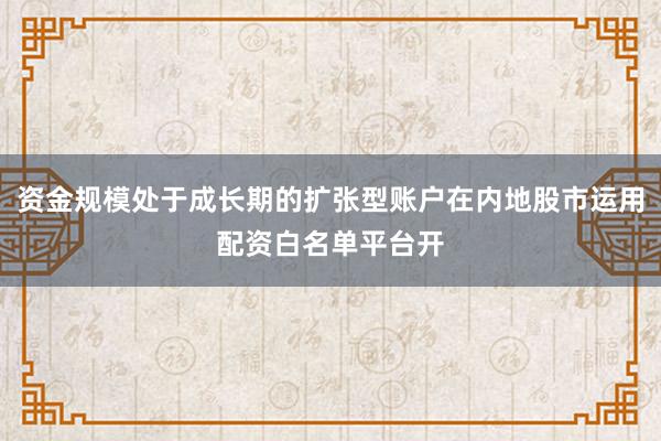 资金规模处于成长期的扩张型账户在内地股市运用配资白名单平台开