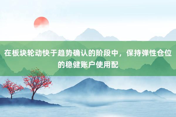 在板块轮动快于趋势确认的阶段中，保持弹性仓位的稳健账户使用配
