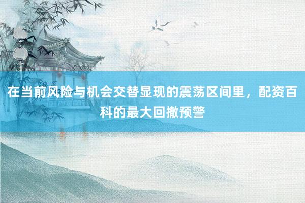 在当前风险与机会交替显现的震荡区间里，配资百科的最大回撤预警