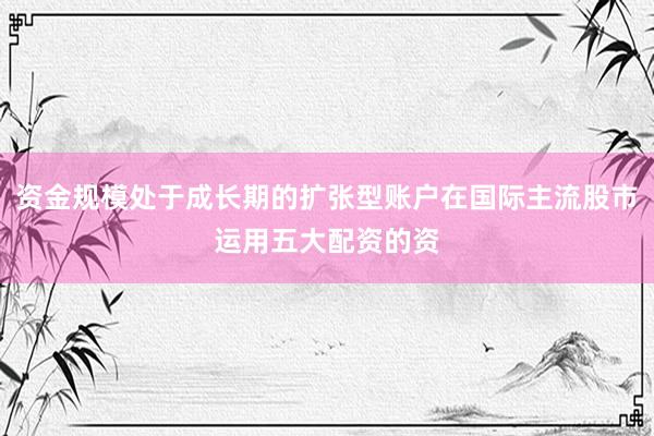 资金规模处于成长期的扩张型账户在国际主流股市运用五大配资的资