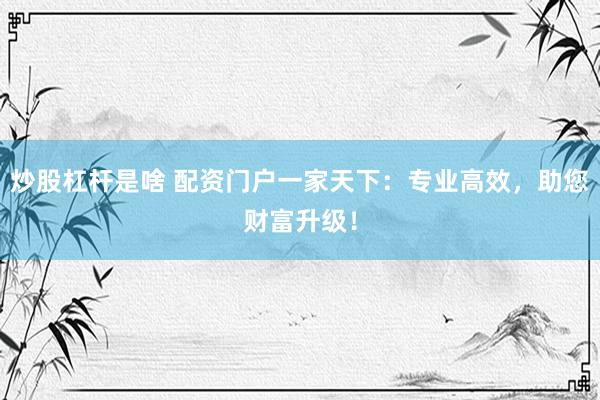 炒股杠杆是啥 配资门户一家天下：专业高效，助您财富升级！