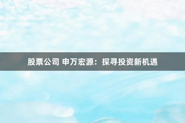 股票公司 申万宏源：探寻投资新机遇