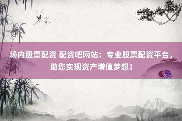 场内股票配资 配资吧网站：专业股票配资平台，助您实现资产增值梦想！