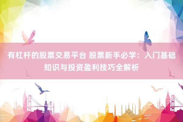 有杠杆的股票交易平台 股票新手必学：入门基础知识与投资盈利技巧全解析