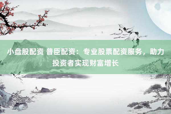 小盘股配资 普臣配资：专业股票配资服务，助力投资者实现财富增长