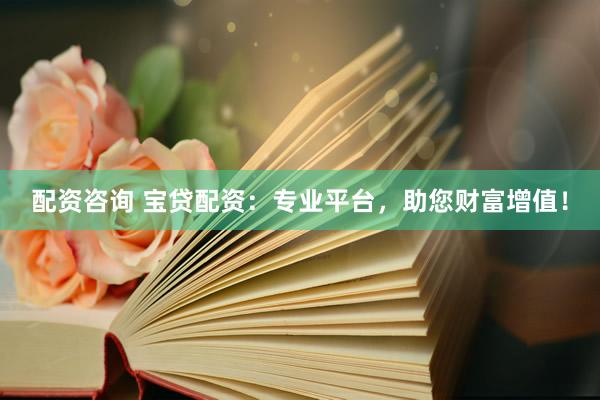 配资咨询 宝贷配资：专业平台，助您财富增值！